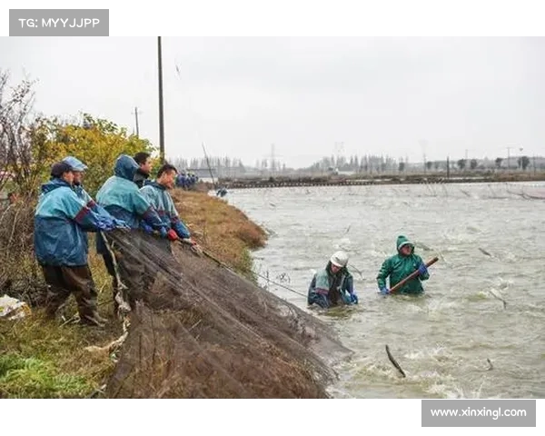 浙江渔民发现沉湖一年汽车,车内竟有神秘红衣女子遗体(浙江沉船新闻) 浙江渔民发现沉湖一年汽车,车内竟有神秘红衣女子遗体(浙江沉船新闻)