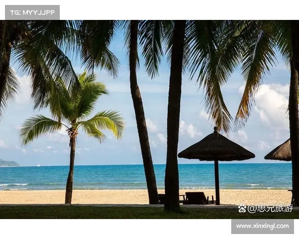 齐麟晒出阳光海滩度假照，心情大好：享受自然与宁静的完美结合