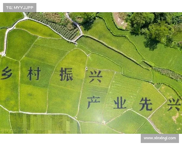 从三蹦子到乡镇企业崛起：中国农村经济的新篇章(乡村三产)